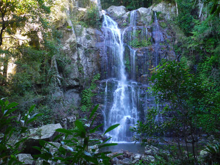 Minnamurra Rainforest Waterfall