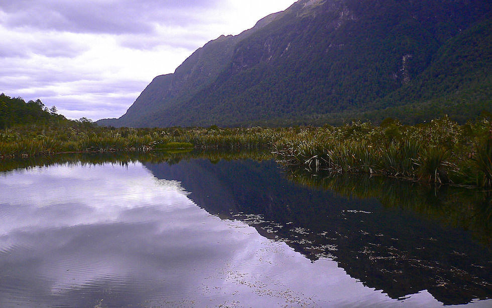 Mirror Lakes near Milford Sound South Island NZ