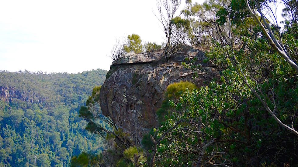 Cooks Nose - Barren Ground National Park - Illawarra - New South Wales