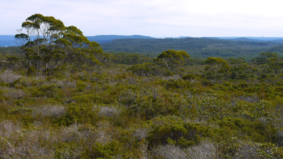 barren grounds nature reserve NSW