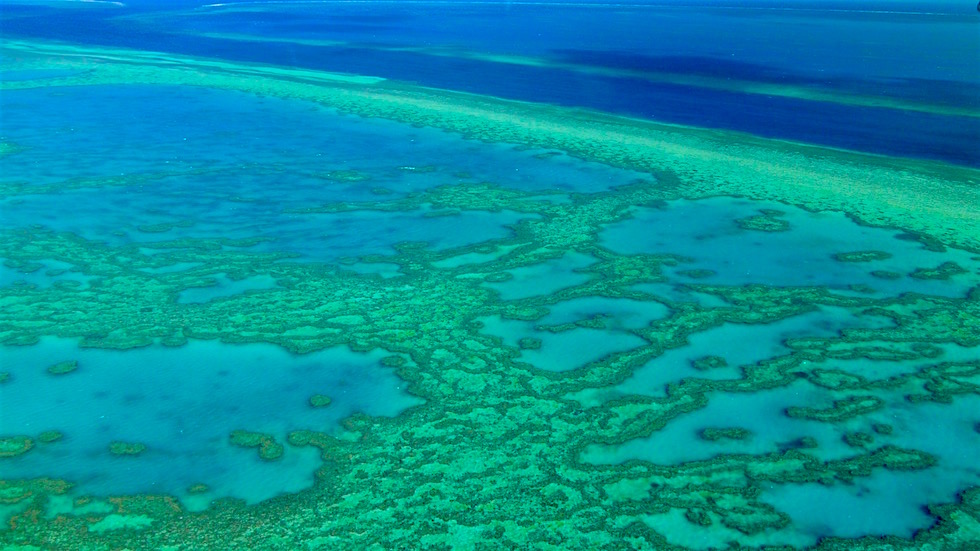 Anflug - Heart Reef - Great Barrier Reef - Queensland