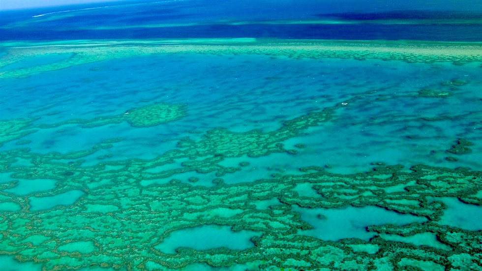 Outer Reef - Great Barrier Reef - Queensland