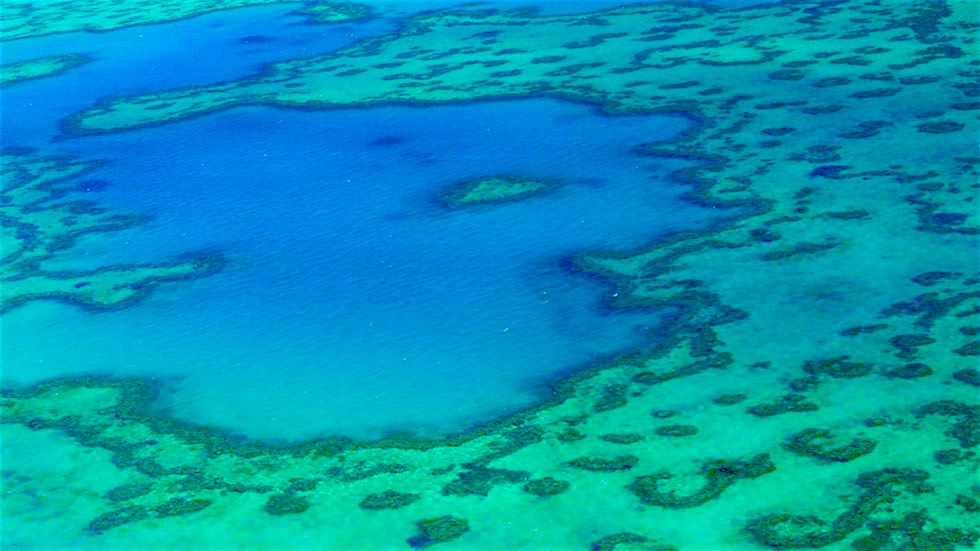 Heart Reef - Great Barrier Reef - Queensland