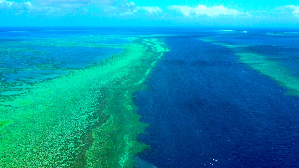 whitsunday reef seen from the helicopter - great barrier reef 