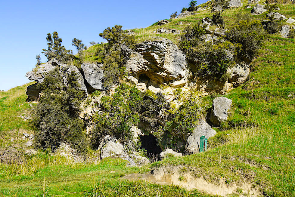 Clifden Caves - Höhlenausgang bei der Clifden Gorge - Höhlenabenteuer an der Southern Scenic Route in West Southland - Südinsel, Neuseeland