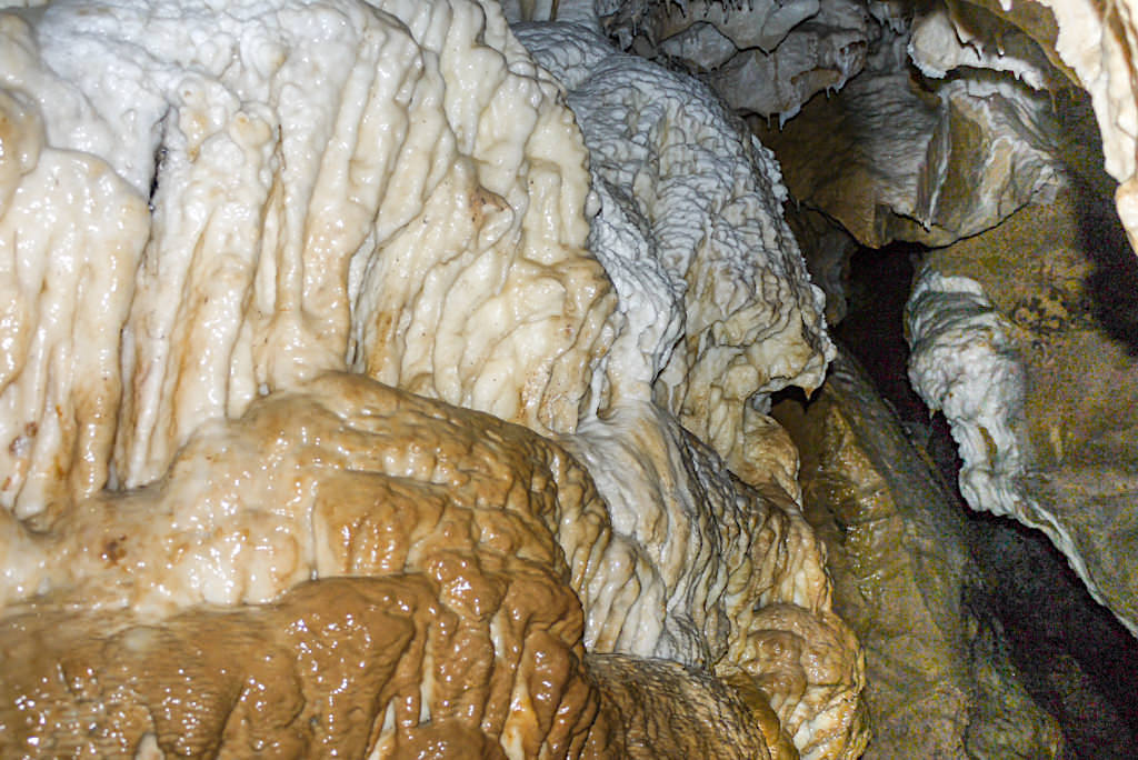 Clifden Caves: eines der wenigen Höhlensysteme in Southland - Stalaktiten an den Höhlenwänden - Südinsel, Neuseeland