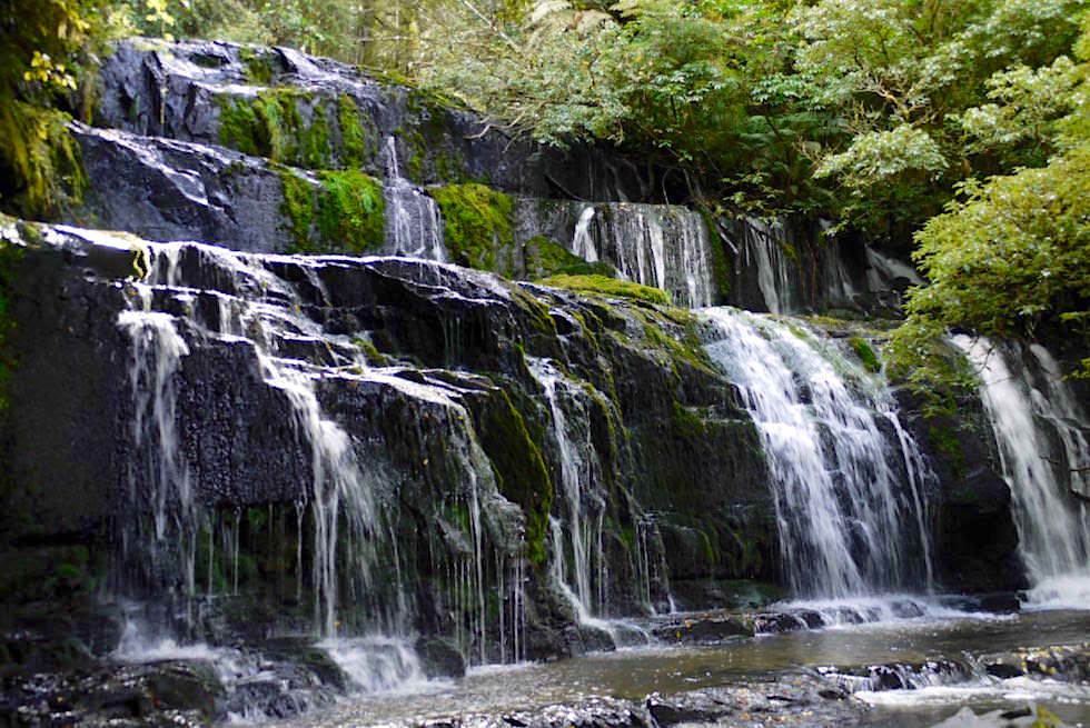 Wasserfälle der Catlins: Purakaunui Falls sind das Wahrzeichen der The Catlins - Neuseeland, Südinsel