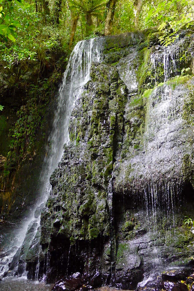 Wasserfälle der Catlins: Close Up Matai Falls - The Catlins - Neuseeland Südinsel 