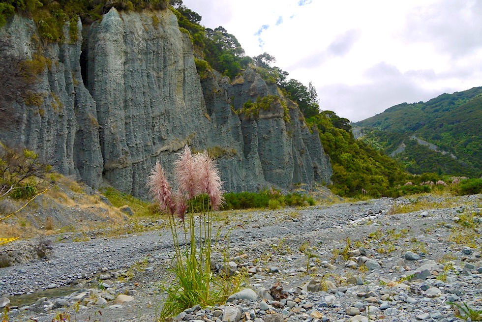 Putangirua Pinnacles - Rundwanderung zum Pinnacles Lookout & Schlucht mit spektakulären Ausblicken - Nordinsel, Neuseeland 