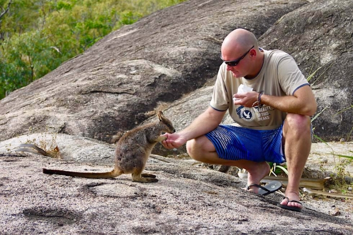 Granite Gorge Nature Park - Rock Wallabies fressen aus der Hand - nahe Cairns, Queensland