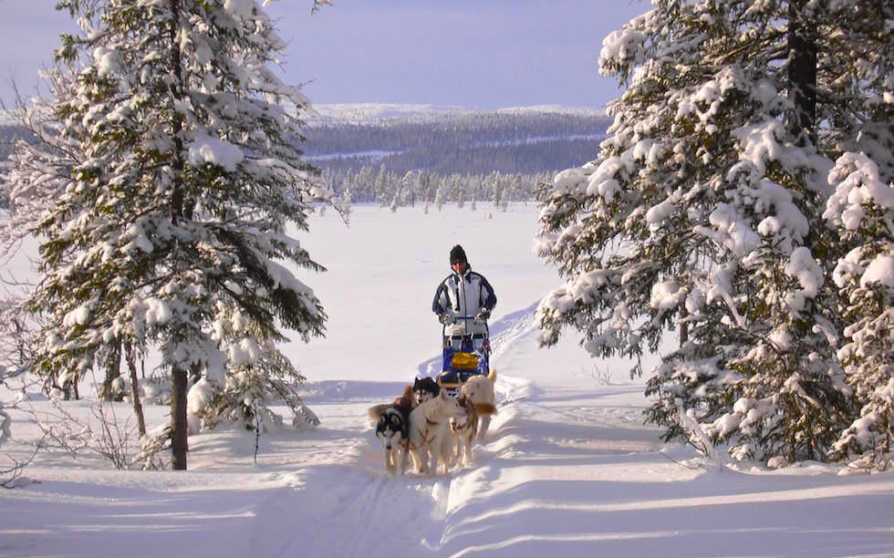 Husky Sledge Tour in Swedish Lappland