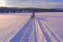 Husky Abenteuer Lappland – Teil 1: Hundeschlitten Touren, ein einzigartiges Winter-Erlebnis!