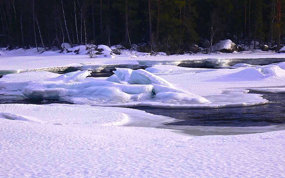 Icy Lake - Husky Sledge Adventure Lappland 