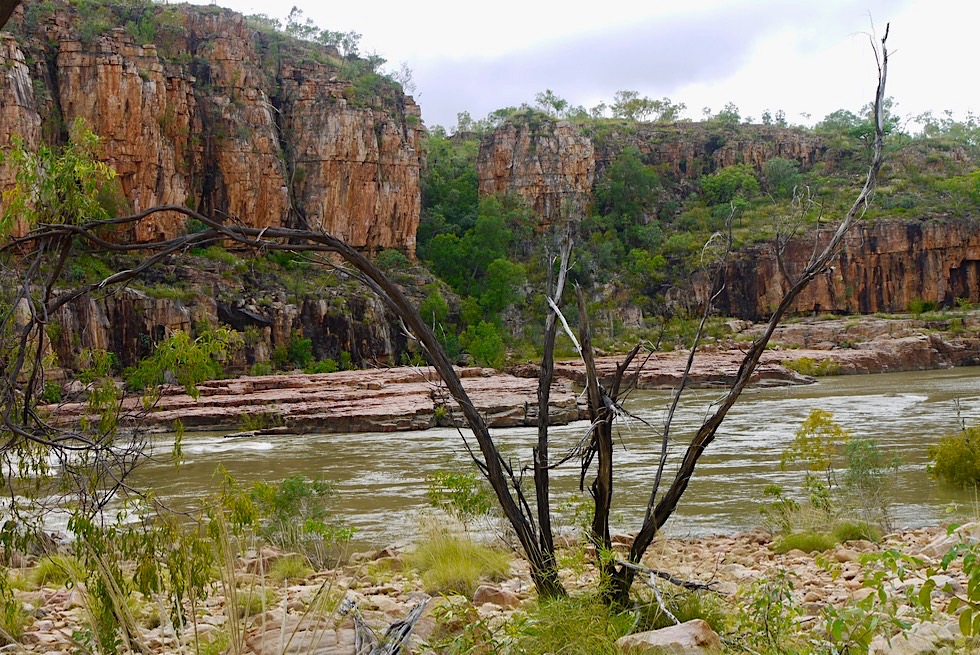 Katherine Gorge - Übergang zur 2. Schlucht zu Fuß - Nitmiluk National Park - Northern Territory 