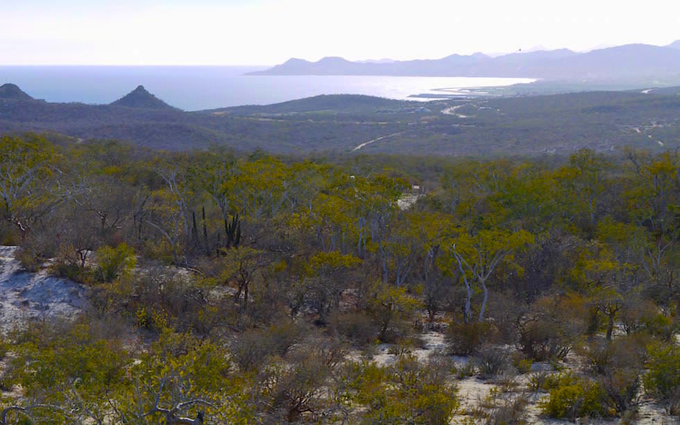 View on San Jose del Cabo Area Baja California