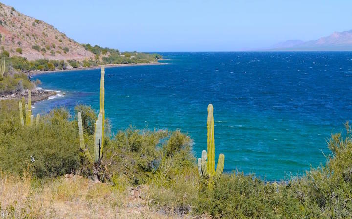 View on Bahia Concepcion Baja California