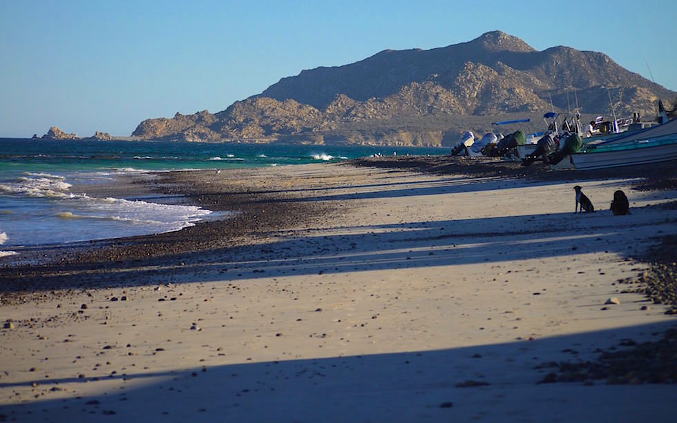 Cabo Pulmo - Strand beim Beach Resort - Cortez Sea oder Golf von Kalifornien - Baja California 