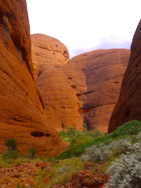 Kata Tjuta - The Olgas near Uluru Austalia - Northern Territory
