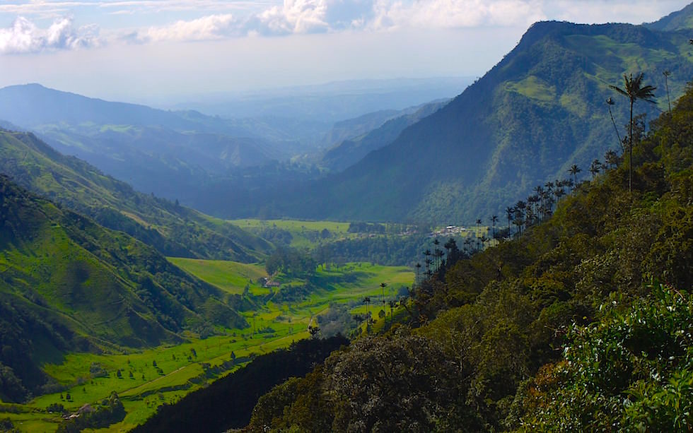 Valle del Cocora - Salento - Colombia
