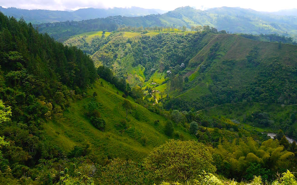 Salento Colombia - green hills 