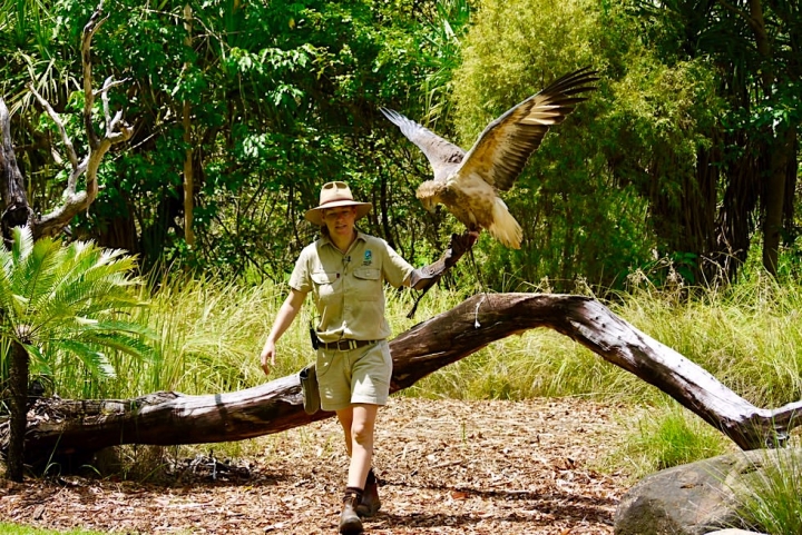 Territory Wildlife Park: Alles was die Natur im Top End zu bieten hat - Faszinierender Wildpark bei Darwin - Northern Territory