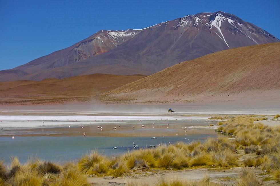 Lagune mit Flamingos - Jeeptour Uyuni in Bolivien
