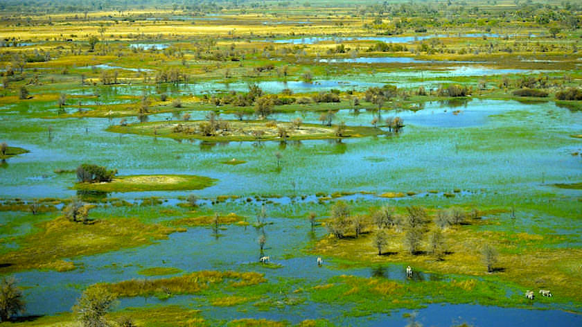 Naturparadies Okavango Delta ein Helikopter Flug von Maun, Botswana