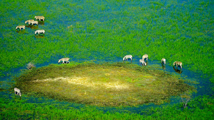 Okavango Delta ein Helikopter Flug von Maun, Botswana