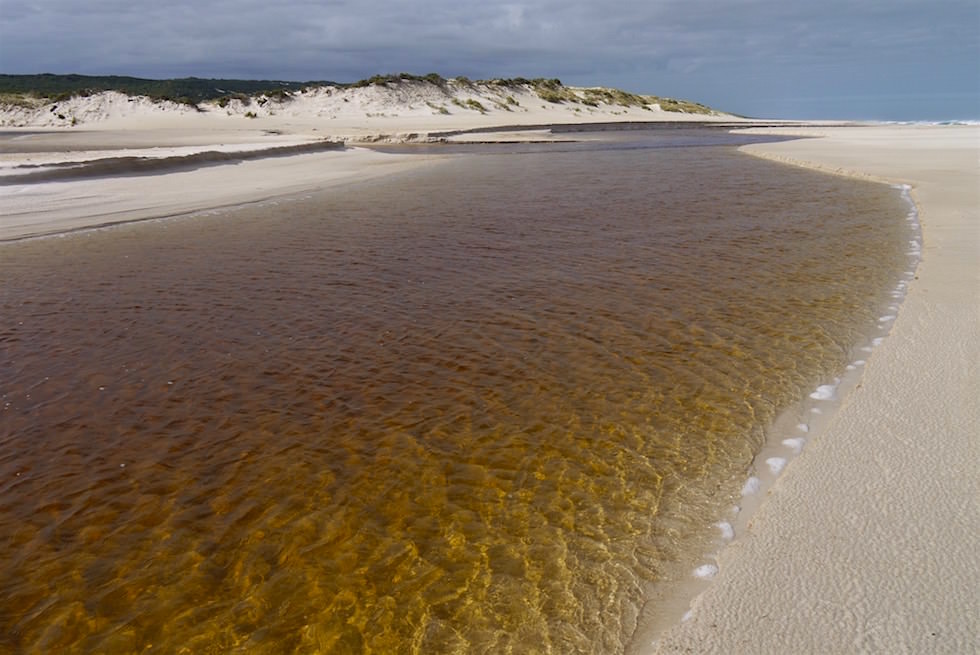 Beach & Forest - Pemberton Discovery - Western Australia