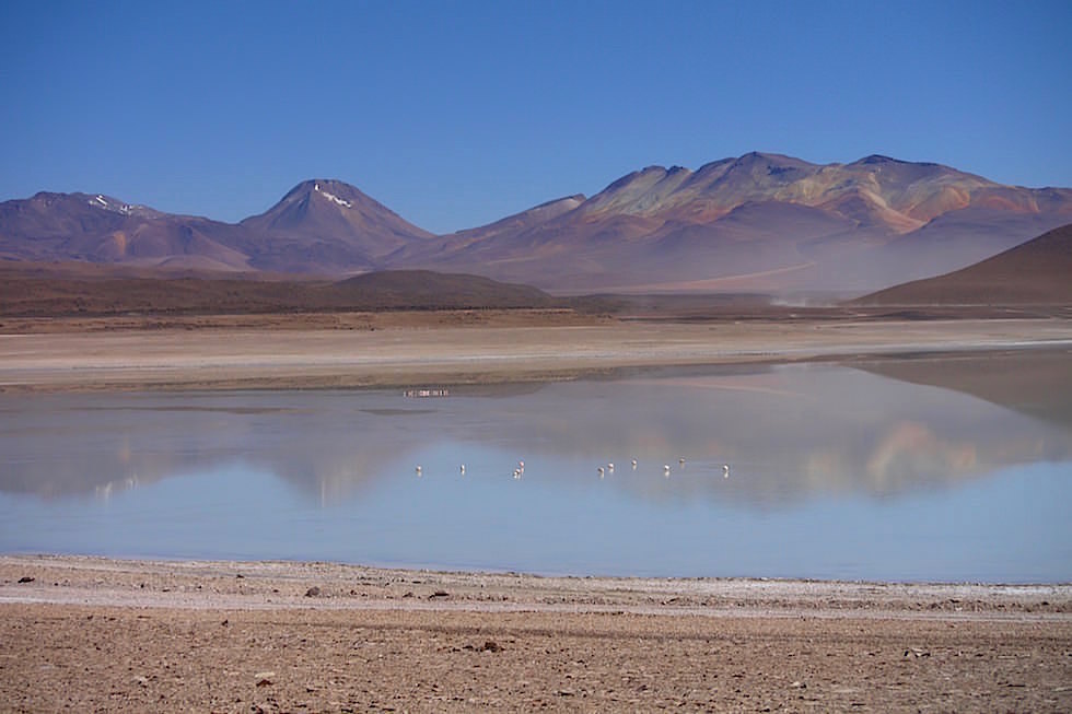 Laguna Blanca im Nationalpark Eduardo Avaroa Bolivien - Salar de Uyuni Tour
