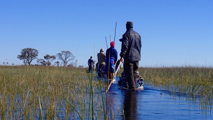 Okavango Delta Mokoro Tour Botswana Afrika