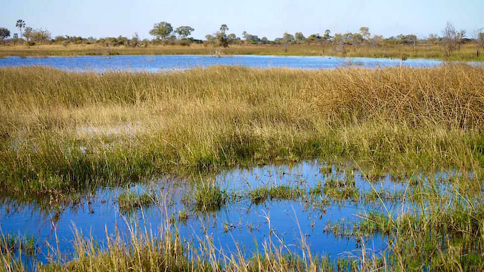 Okavango Delta - Moremi Wildlife Resort - Botswana Afrika