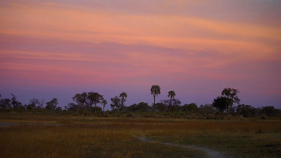 Okavango Delta - Sonnenuntergang im Moremi Wildlife Resort - Botswana Afrika