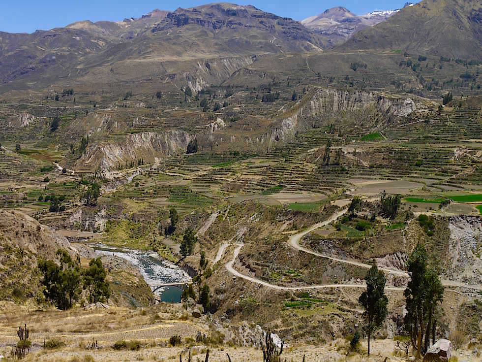 Colca Tal auf dem Weg zum Cruz del Condor - Colca Canyon - Chivay- Peru