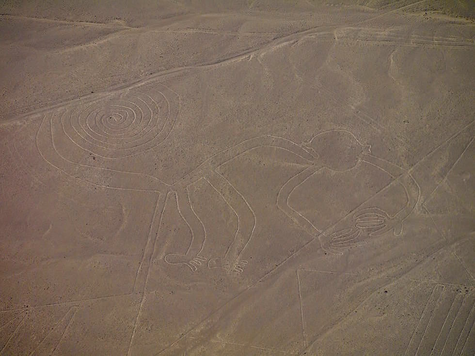 Affe Nasca Lines Nasca Wüste Peru