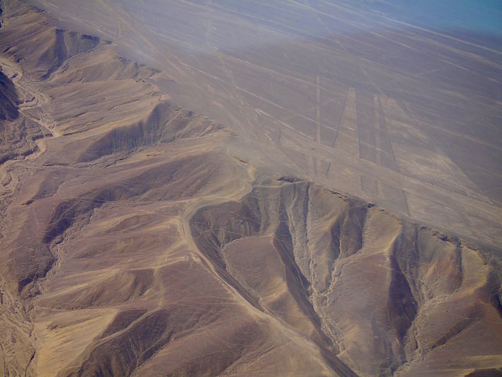Baum Nasca Linien Nasca Wüste Peru