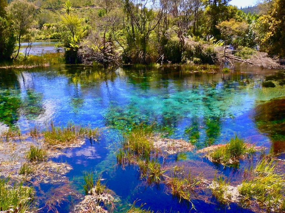 Pupu Springs Te Waikoropupū Springs Reinstes Wasser, schönste Farben