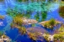 Pupu Springs – Te Waikoropupū Springs: Reinstes Wasser, schönste Farben!