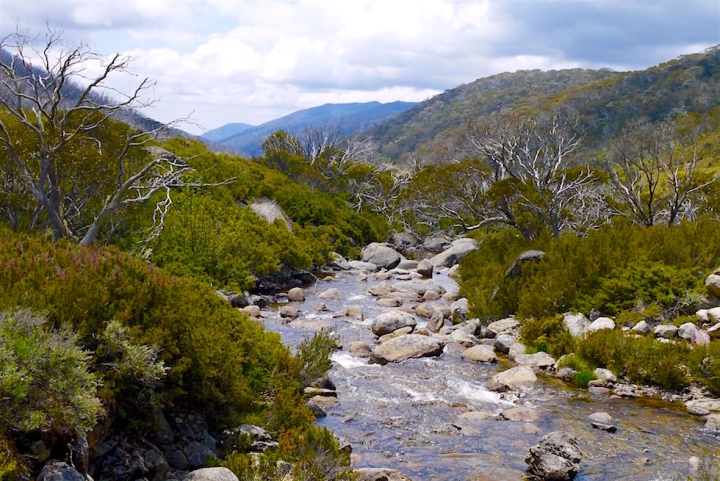 Thredbo River Walk - Kosciuszko National Park - NSW