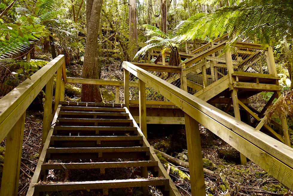 Holzstufen zum Visitor Center auf dem Lady Barron Falls Circuit - Mt Field National Park - Tasmanien