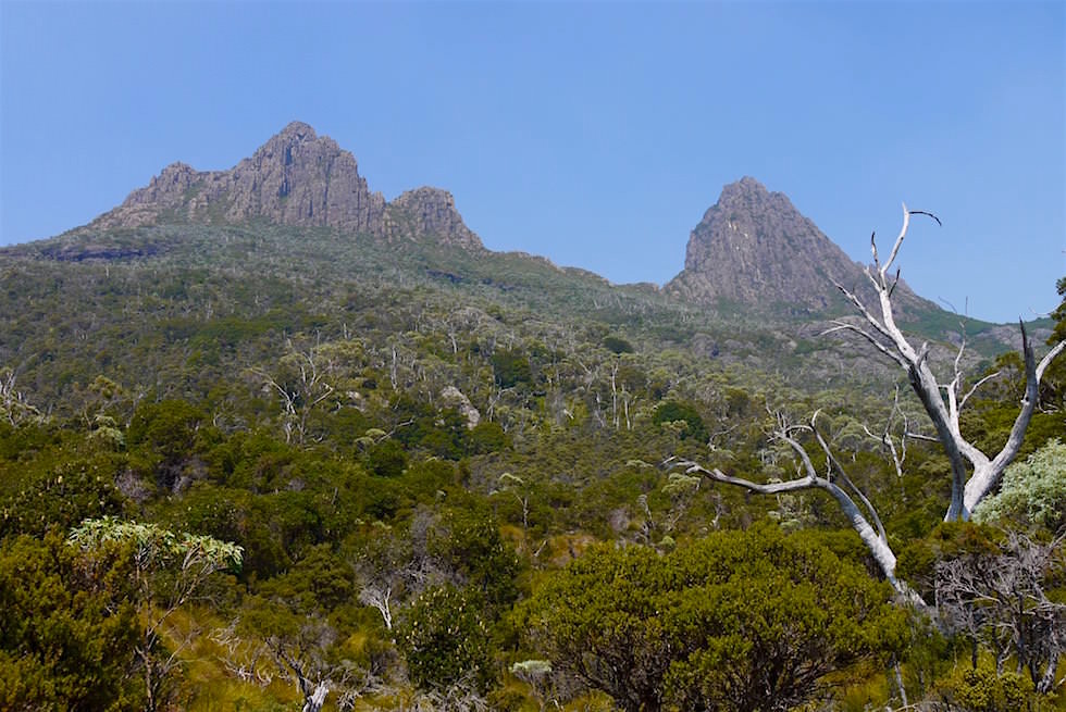 Cradle Mountain vom Dove Lake gesehen - Tasmanien