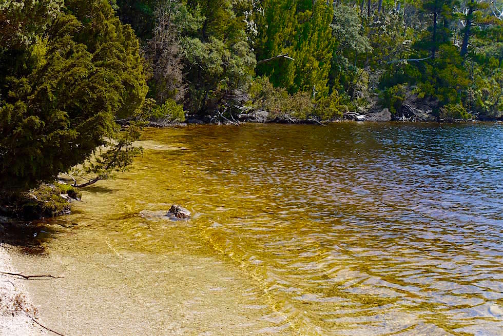 Braune Tasmanische Seen & Flüsse - Cradle Mountain - Tasmanien