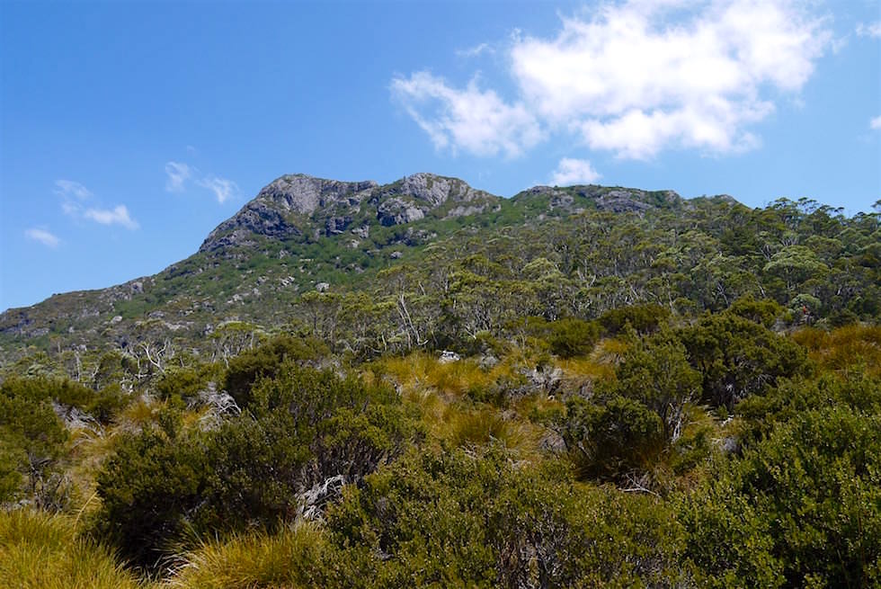 Blick zum Marions Lookout - Cradle Mountain - Tasmanien