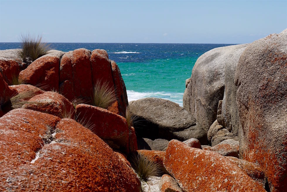 Orange rocks - Bay of Fire - Tasmania