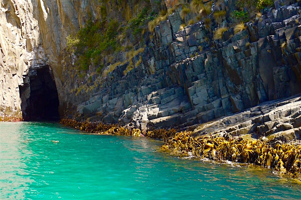Shipwreck Cave - Bruny Island Cruise - Tasamanien