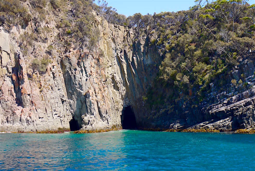 Blick auf die Shipwreck Cave an der Küste des South Bruny National Parks - Tasmanien 