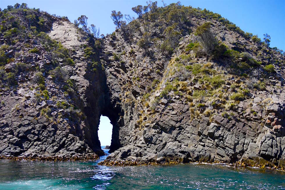 Jimmy's Cave - Bruny Island Cruise - Tasmanien