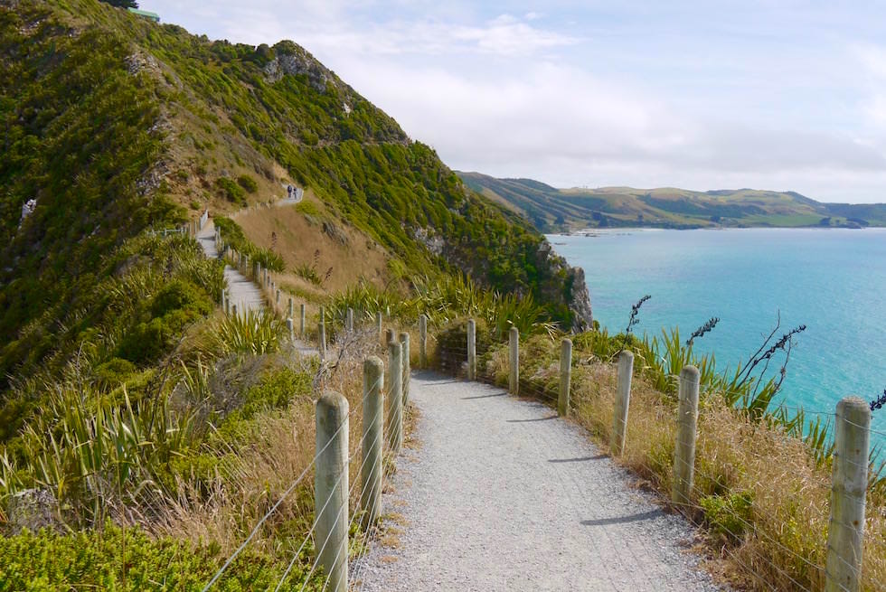 Rückweg Nugget Points - Neuseeland Südinsel