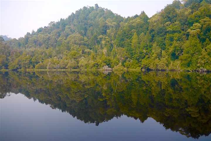 Gordon River - Franklin-Gordon Wild Rivers National Park - Tasmania