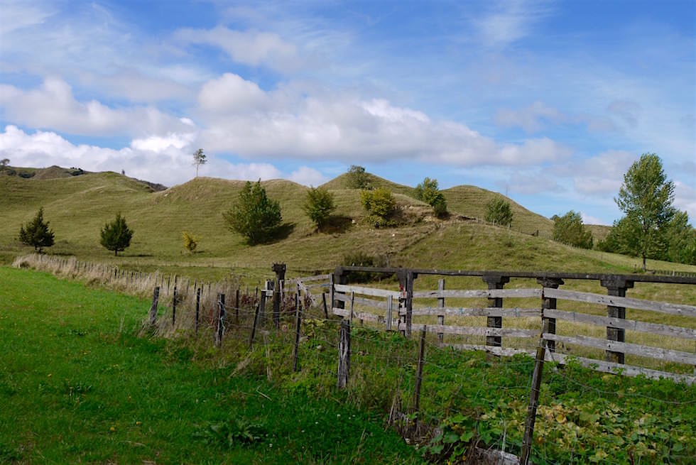 Hügellandschaft bei Toko - Forgotten World Highway - Neuseeland Nordinsel